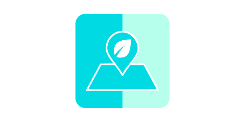 Remote Work Tips
